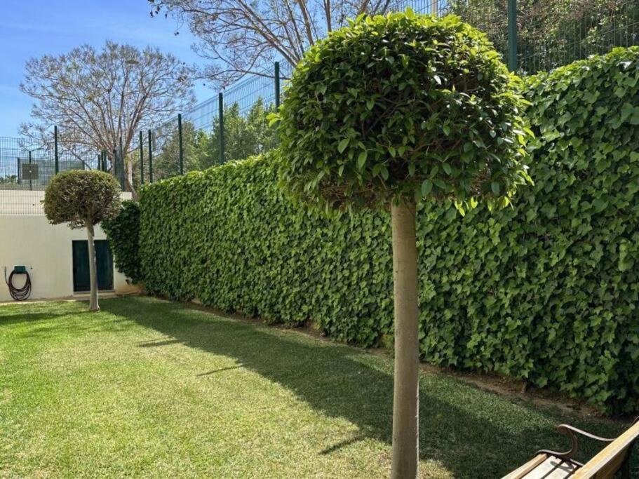 Three Bedroom Apartment, Prime Javea Location 外观 照片